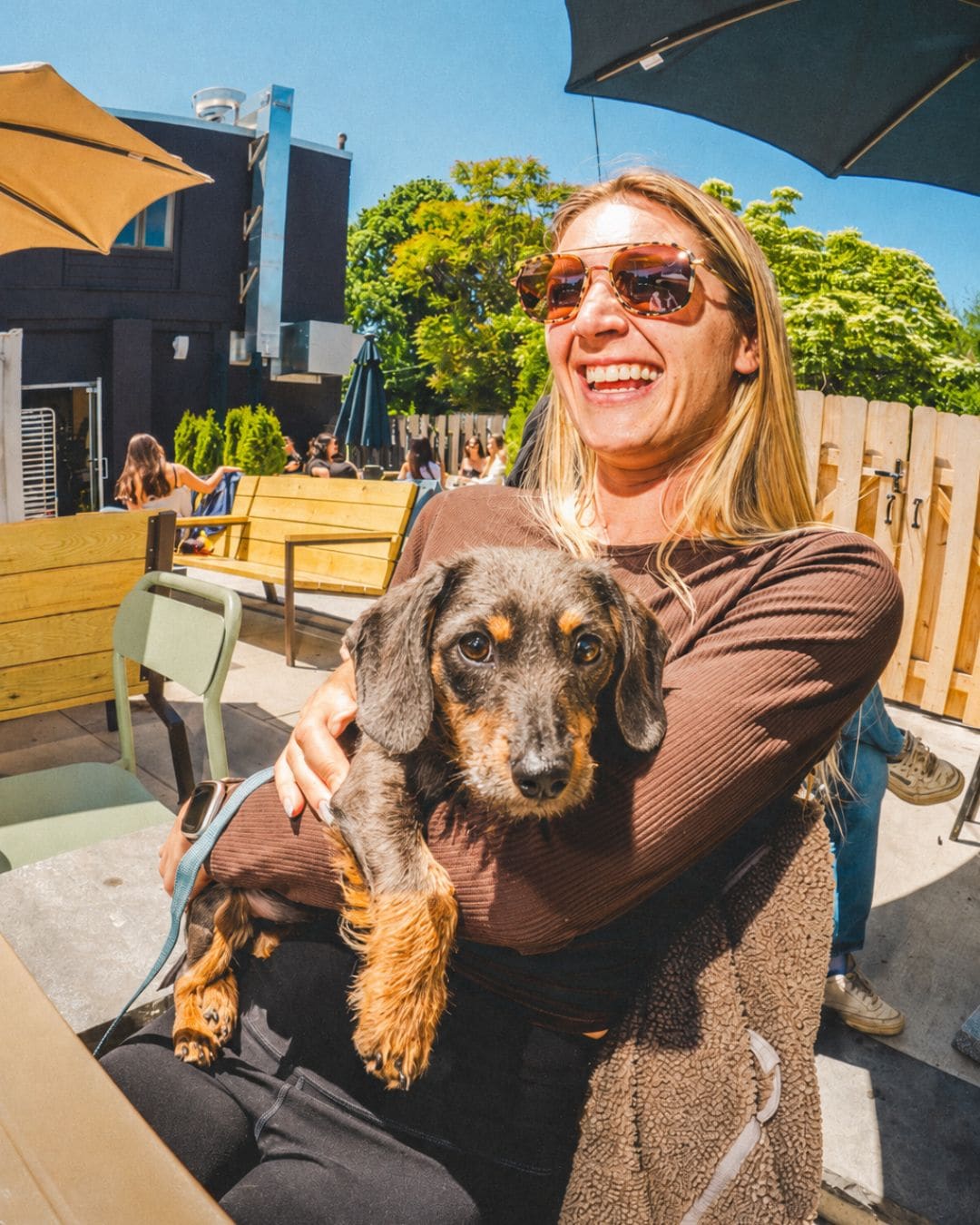 A dachshund puppy held up to the camera on the Coop patio